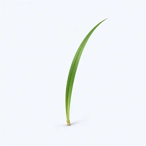 un brin d’herbe: a blade of grass