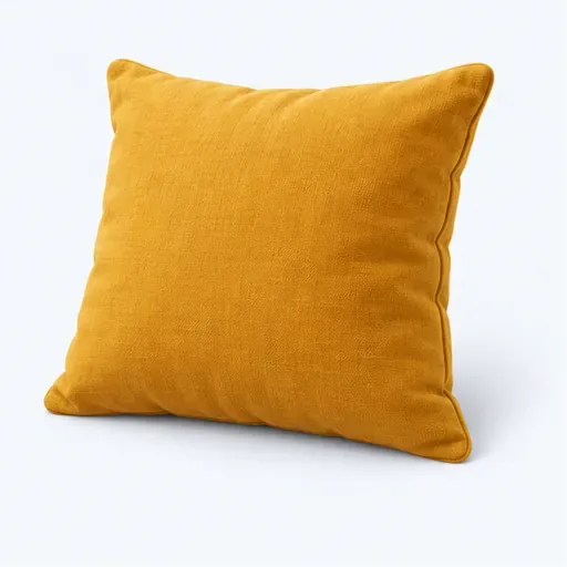 un coussin: a cushion