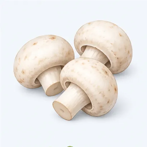 le champignon: 蘑菇