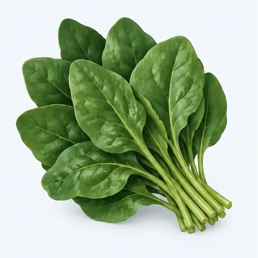 l'épinard (m.): 菠菜