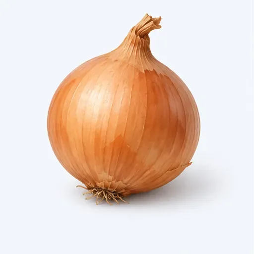 l'oignon (m.): 洋葱
