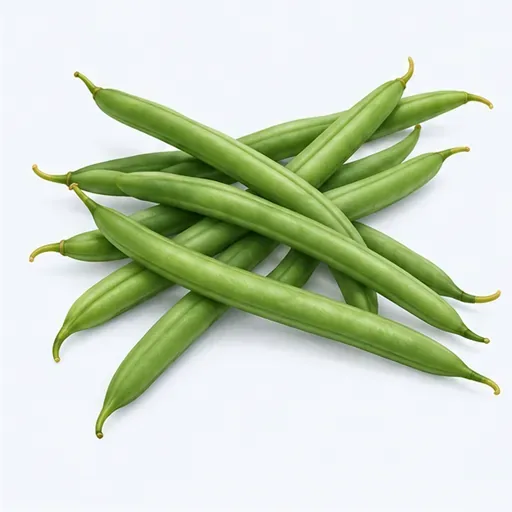 les haricots verts (m.): 四季豆