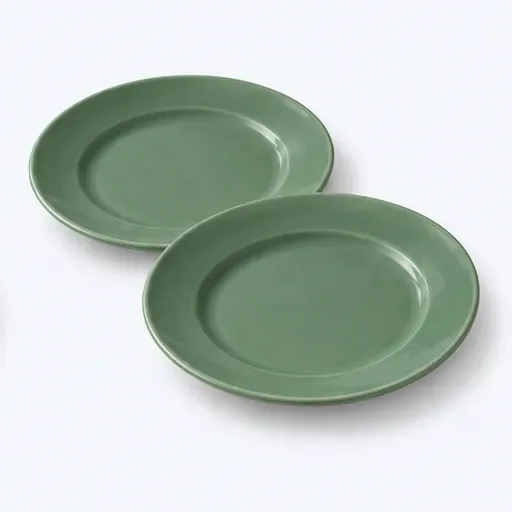 deux assiettes vertes: طبقان أخضران