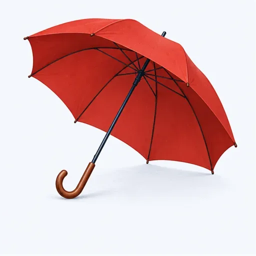 le parapluie: umbrella