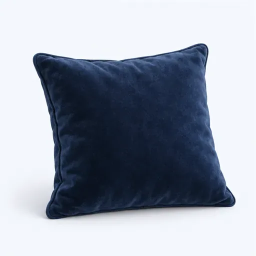 un coussin: a cushion