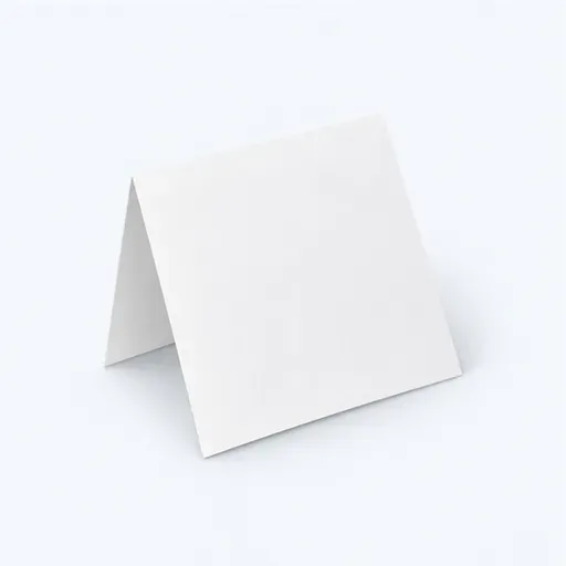 la feuille pliée: folded sheet of paper