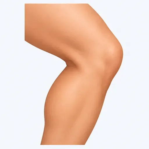 le genou: knee