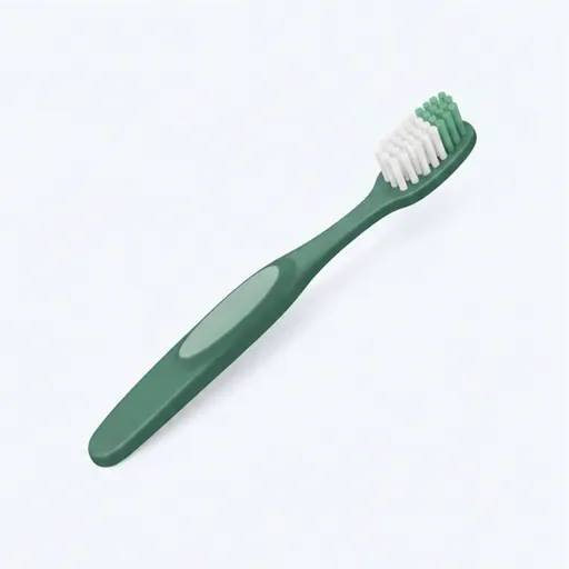 la brosse à dents: toothbrush