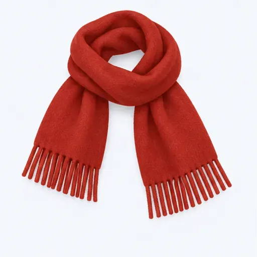 une écharpe: scarf