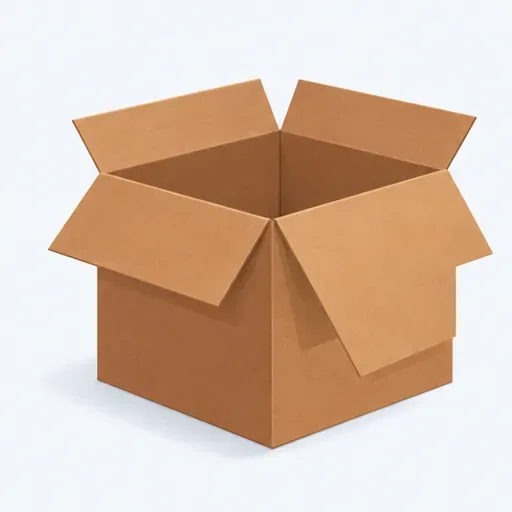le carton: 纸箱