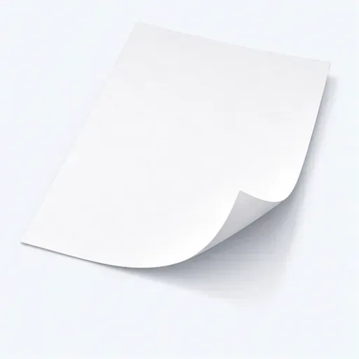 la feuille: sheet of paper