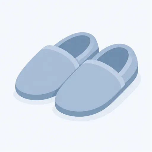 les chaussons: 拖鞋