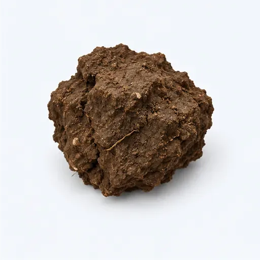 une motte de terre: a clod of earth