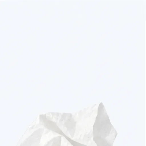 un mouchoir en papier: 一张纸巾
