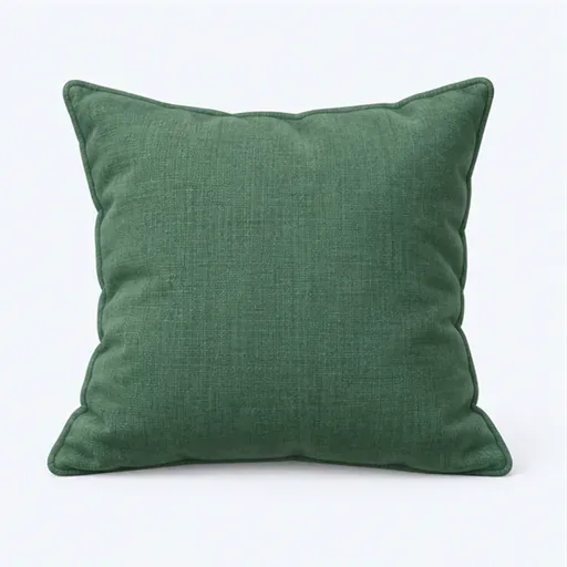 un coussin: a cushion
