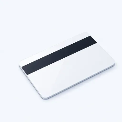 une carte magnétique: a key card