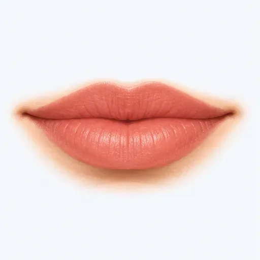 la bouche: la boca