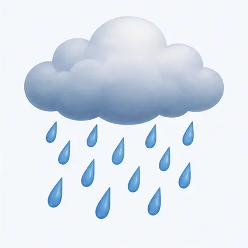 la pluie: 雨