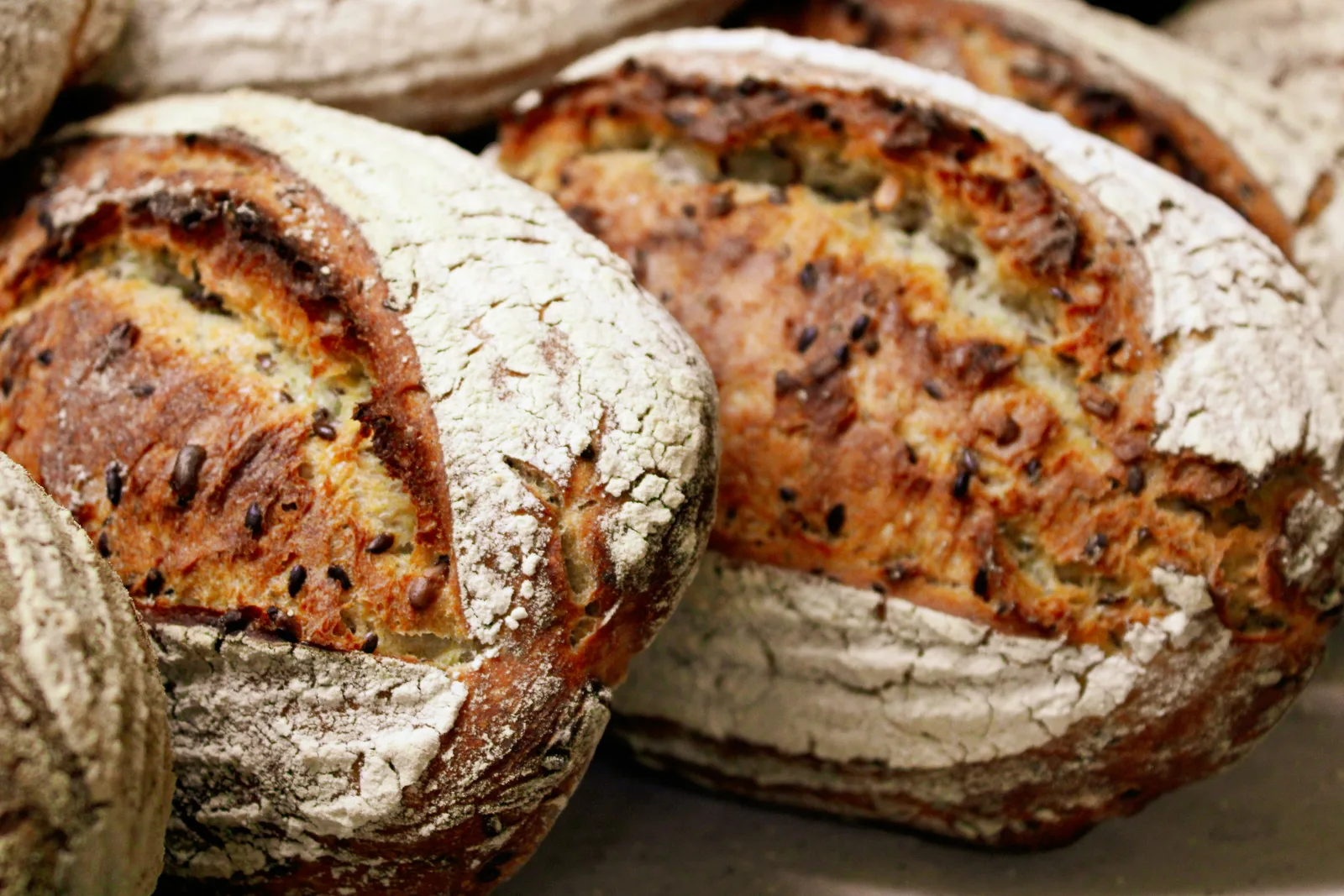 Round flour-dusted loaves with scored crusts in a bakery in Murat, France.
